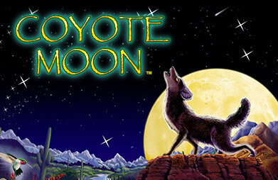 Coyote Moon