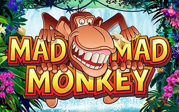 Mad Mad Monkey